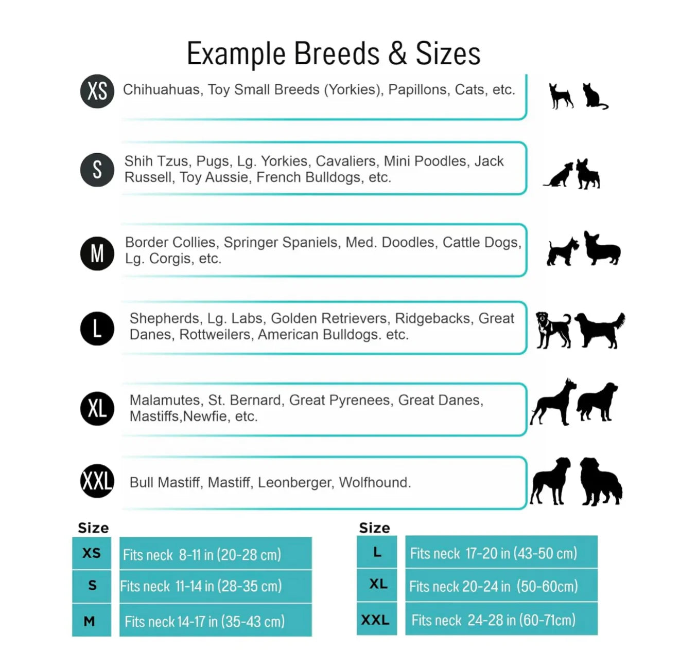 Pawzie Friendship Bracelet